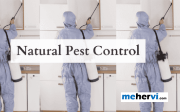 Natural Pest Control