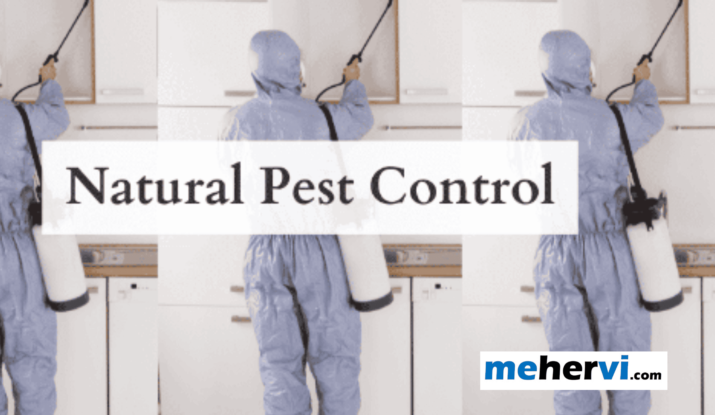 Natural Pest Control