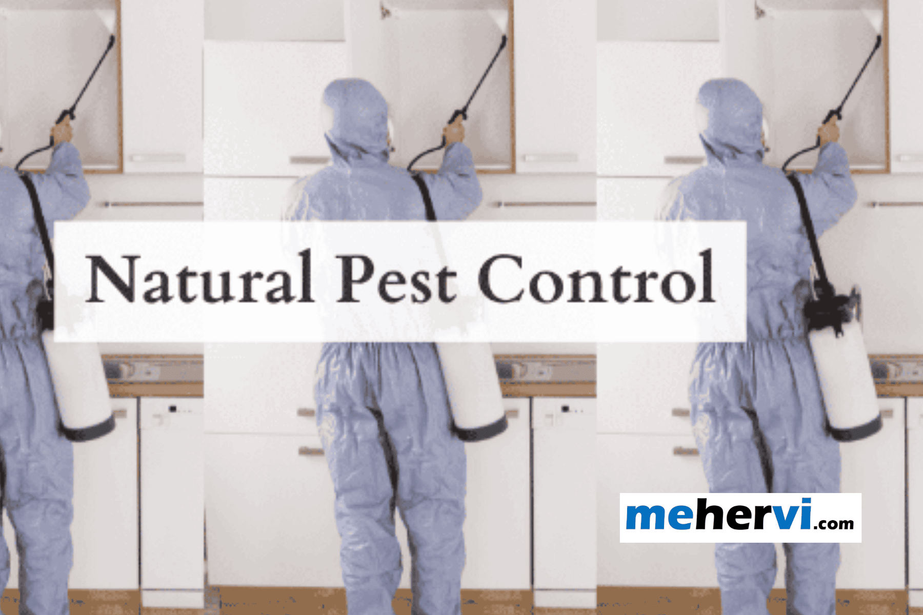 Natural Pest Control