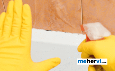 How-to-kill-mold