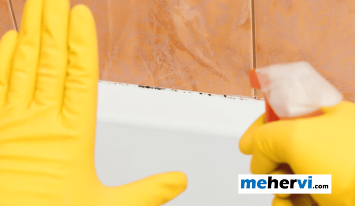How-to-kill-mold