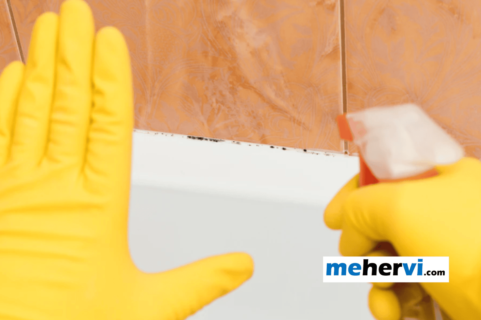 How-to-kill-mold